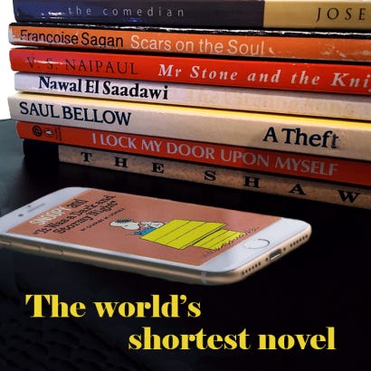 What is the shortest novels in the world?