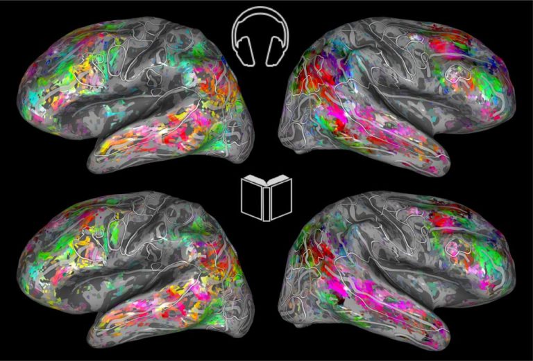 Do Audiobooks Exercise Your Brain?
